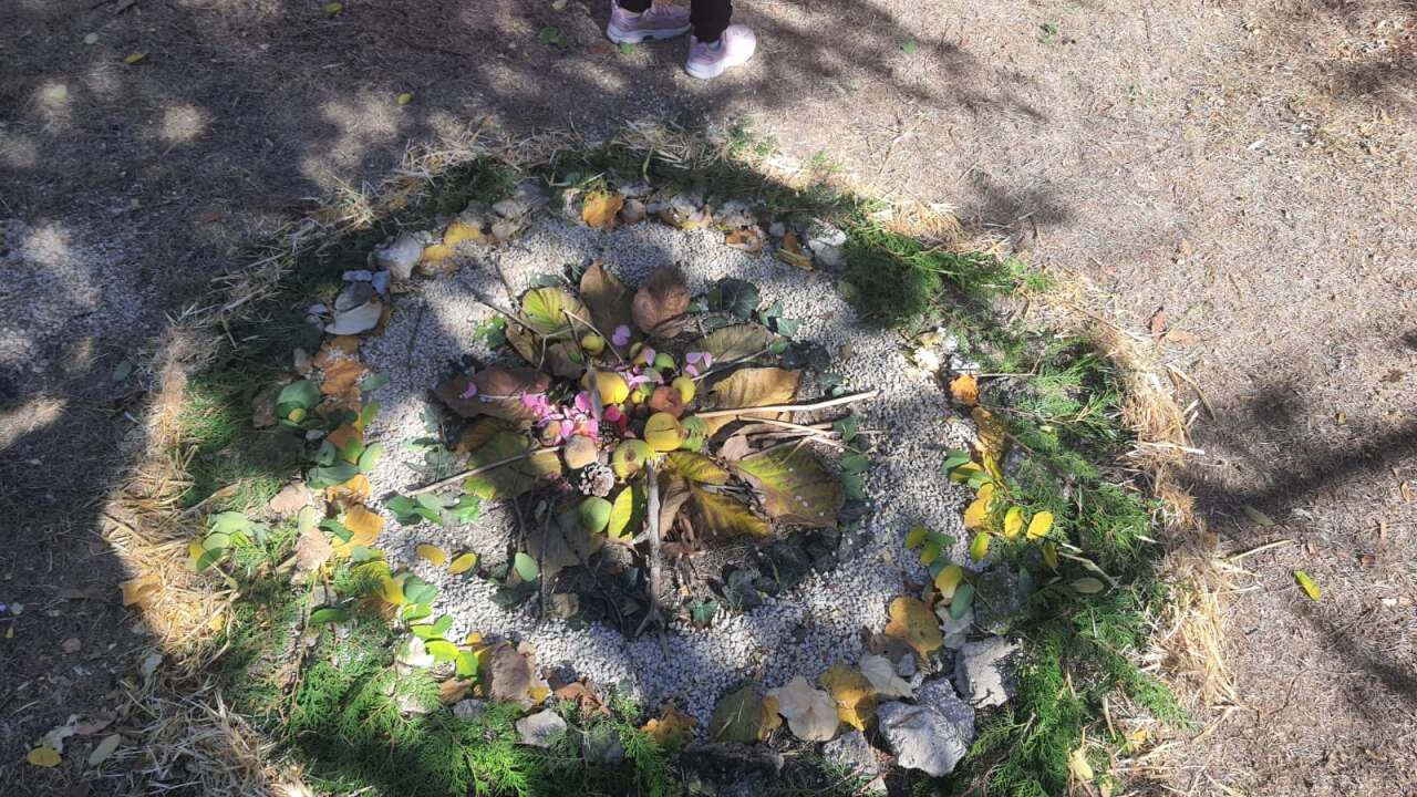 Konya’nın küçük ekoloji elçileri doğayı keşfediyor 6